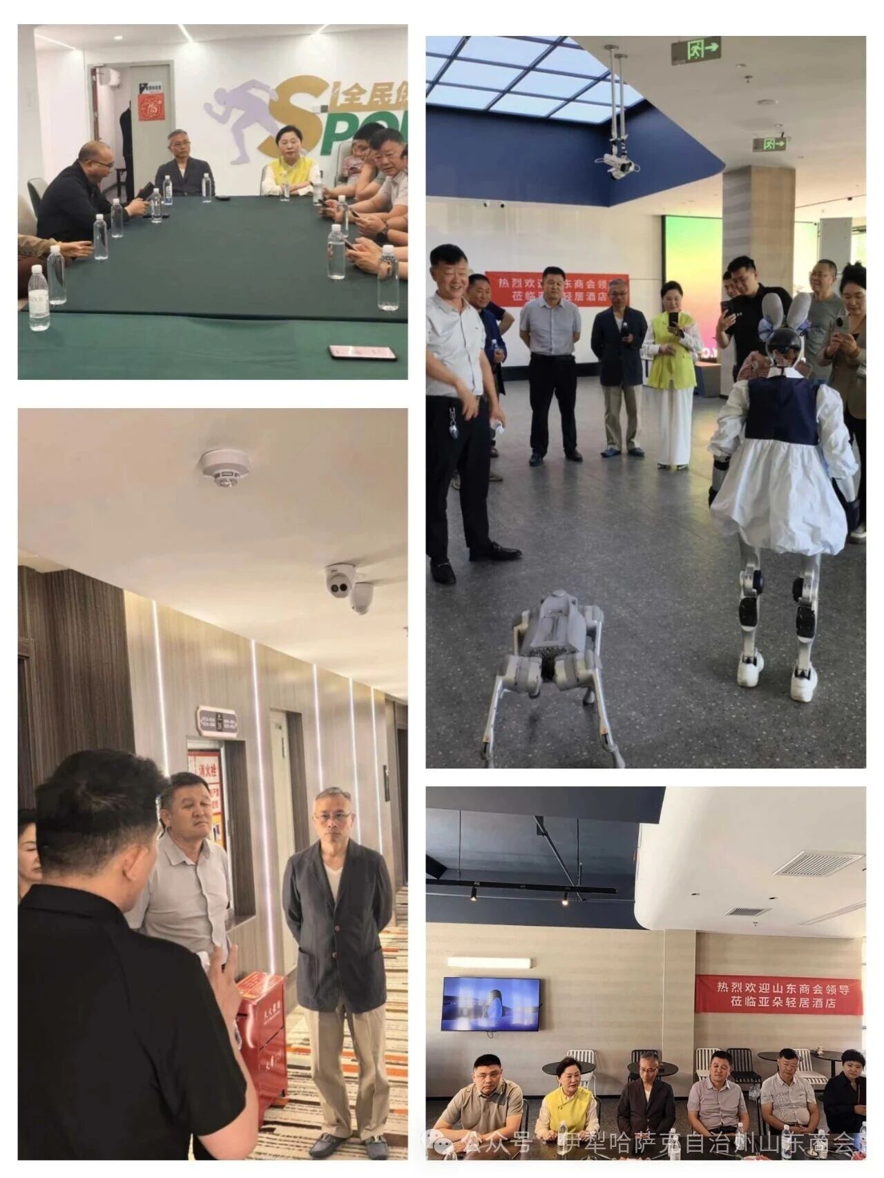 微信图片_2026-05-19_164846_504.jpg